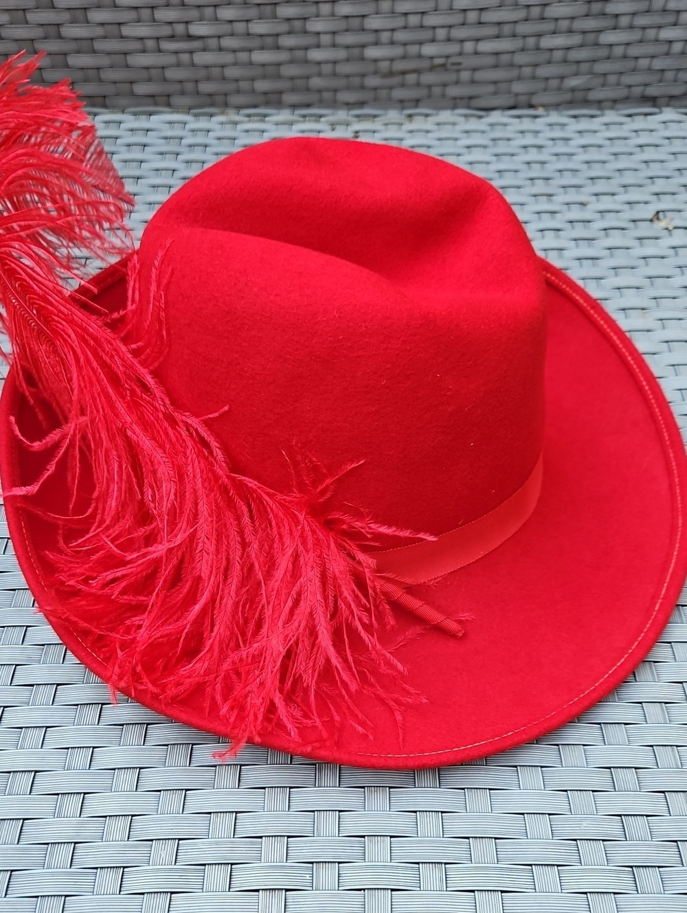 Charlies Bold Red Feather-Trim Fedora